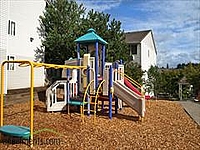 Photo32866