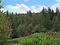 Photo32873